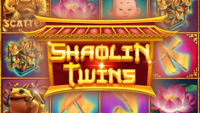 shaolin twins